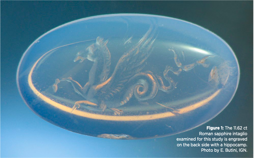 截屏2024-07-18 上午10.45.37.png